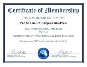 APDT-Membership-Certificate