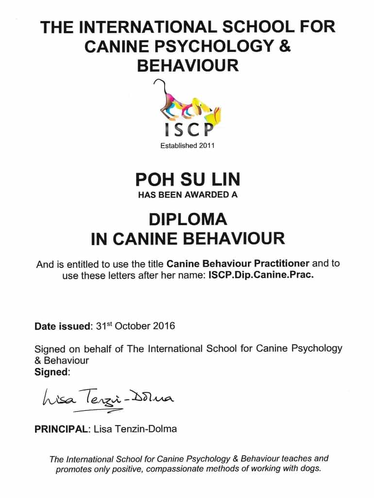 ISCP-diploma-Su-Lin-copy-1