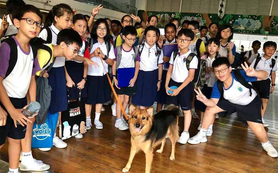 K9 kampong talk–being a dog trainer and dog behaviourist 02